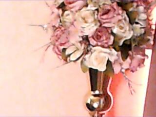 Heaven Hill webcam model stream image