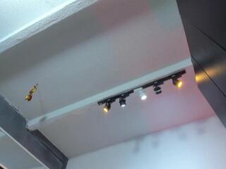 Tafari Zulu webcam model stream image