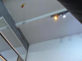 Tafari Zulu webcam model stream image