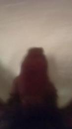 bbdya webcam model stream image