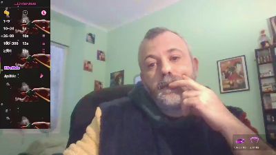 sonoboris webcam model stream image