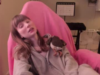 nacmar webcam model stream image