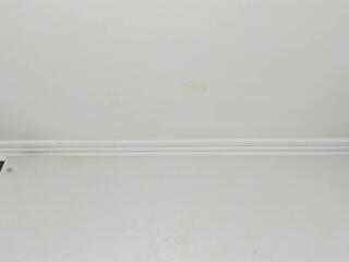 Megan Monrroe webcam model stream image