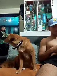 andrusstik webcam model stream image