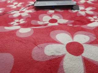 mollyandbrad webcam model stream image