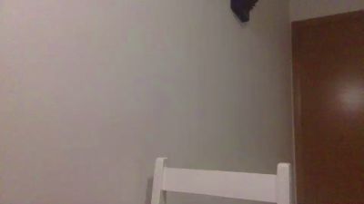 Vaniasofia webcam model stream image