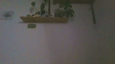 Elianfonseca_ webcam model stream image