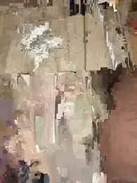 1bigodinho webcam model stream image