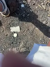 Rico1_1 webcam model stream image