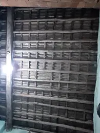 Sharkbirdh webcam model stream image