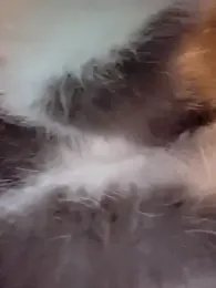 DeeBestEver webcam model stream image