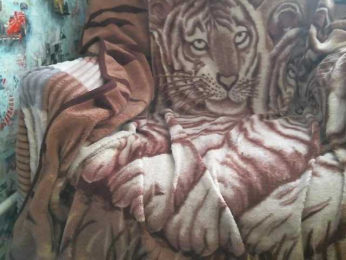 zayka111 webcam model stream image