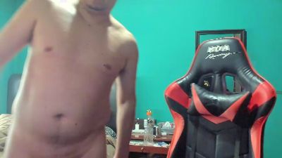 tinchome webcam model stream image