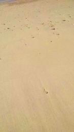 anesnude webcam model stream image