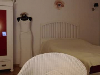 visceratio webcam model stream image