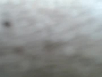 spicyseducer webcam model stream image