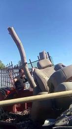 thighwalker webcam model stream image