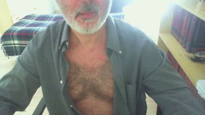 alexorsetto webcam model stream image
