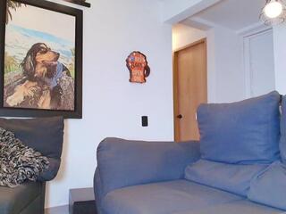 Marko Toro webcam model stream image