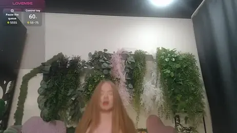 scyrim2 webcam model stream image