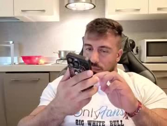 toro_arrapato webcam model stream image