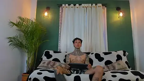 Aron_ford webcam model stream image