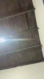 Alca_2022 webcam model stream image