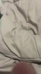 Alca_2022 webcam model stream image