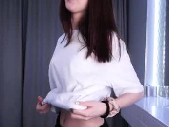 skyeriehm webcam model stream image