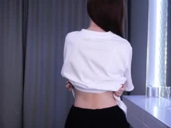 skyeriehm webcam model stream image