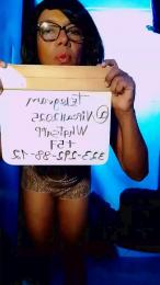 susantrans webcam model stream image