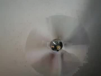yourfavcouplee webcam model stream image