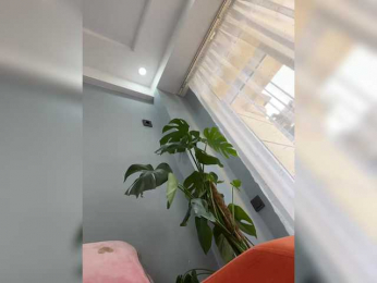 CuteKitty00 webcam model stream image