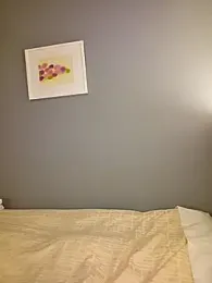 da--------i webcam model stream image