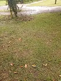 Mycansonhot webcam model stream image