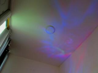 Ronnie Colemann webcam model stream image