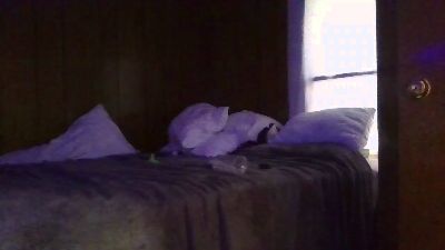 dmooney778gm webcam model stream image
