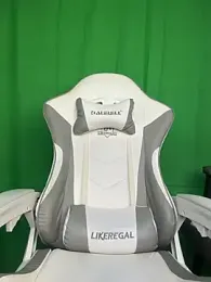 DD-101 webcam model stream image