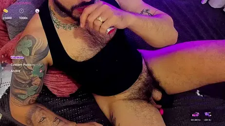 Hoot_tiger webcam model stream image