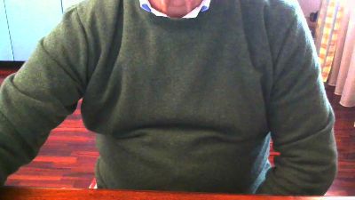 Vibra3 webcam model stream image