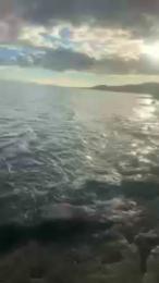 Alnend webcam model stream image