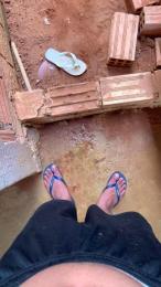 NovinSafdoBR webcam model stream image