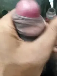 siddBus webcam stripchat model stream image