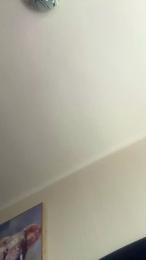 sexologahot webcam model stream image