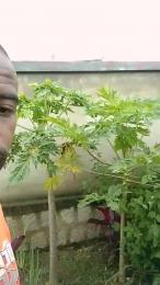 boyyoung4 webcam cam4 model stream image