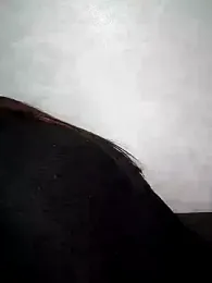 Sexy__Arab webcam model stream image