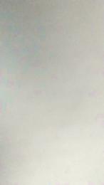 redlineofficia1 webcam model stream image