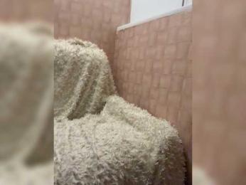 Lamansh webcam model stream image