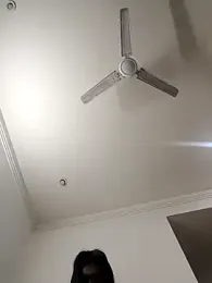 sona-877 webcam model stream image