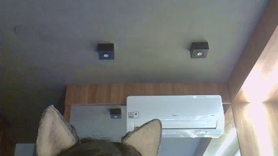 SkinnyKittenCam webcam model stream image